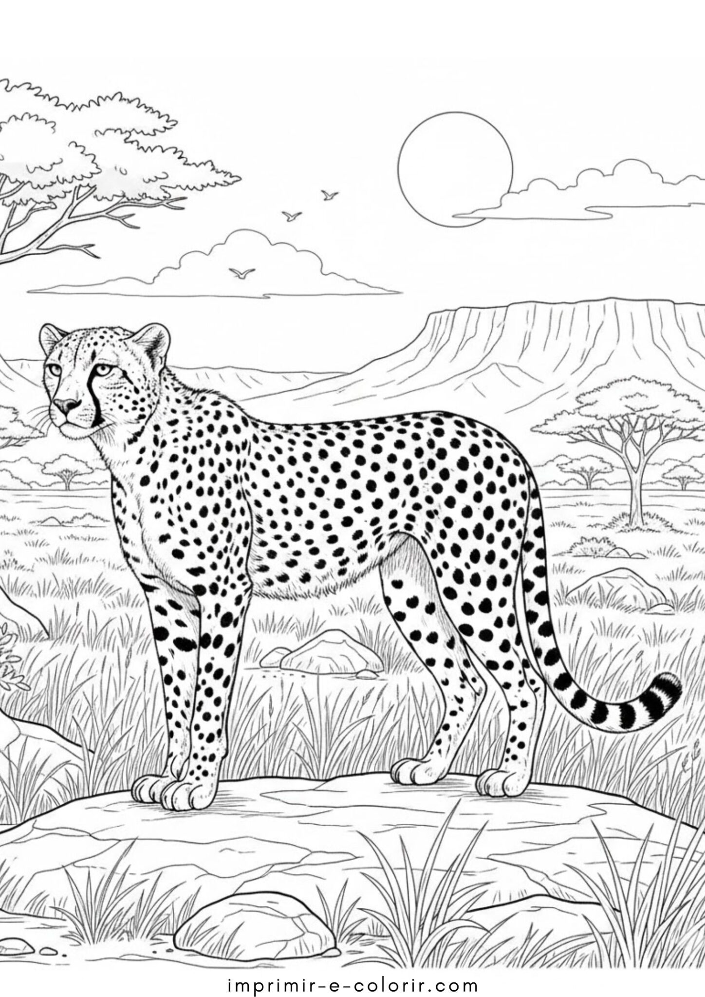 Desenho de Guepardo para colorir e imprimir