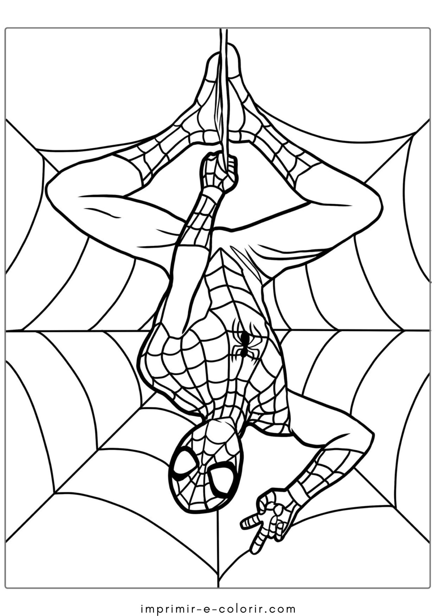 Desenho de Homem-Aranha na teia para colorir e imprimir