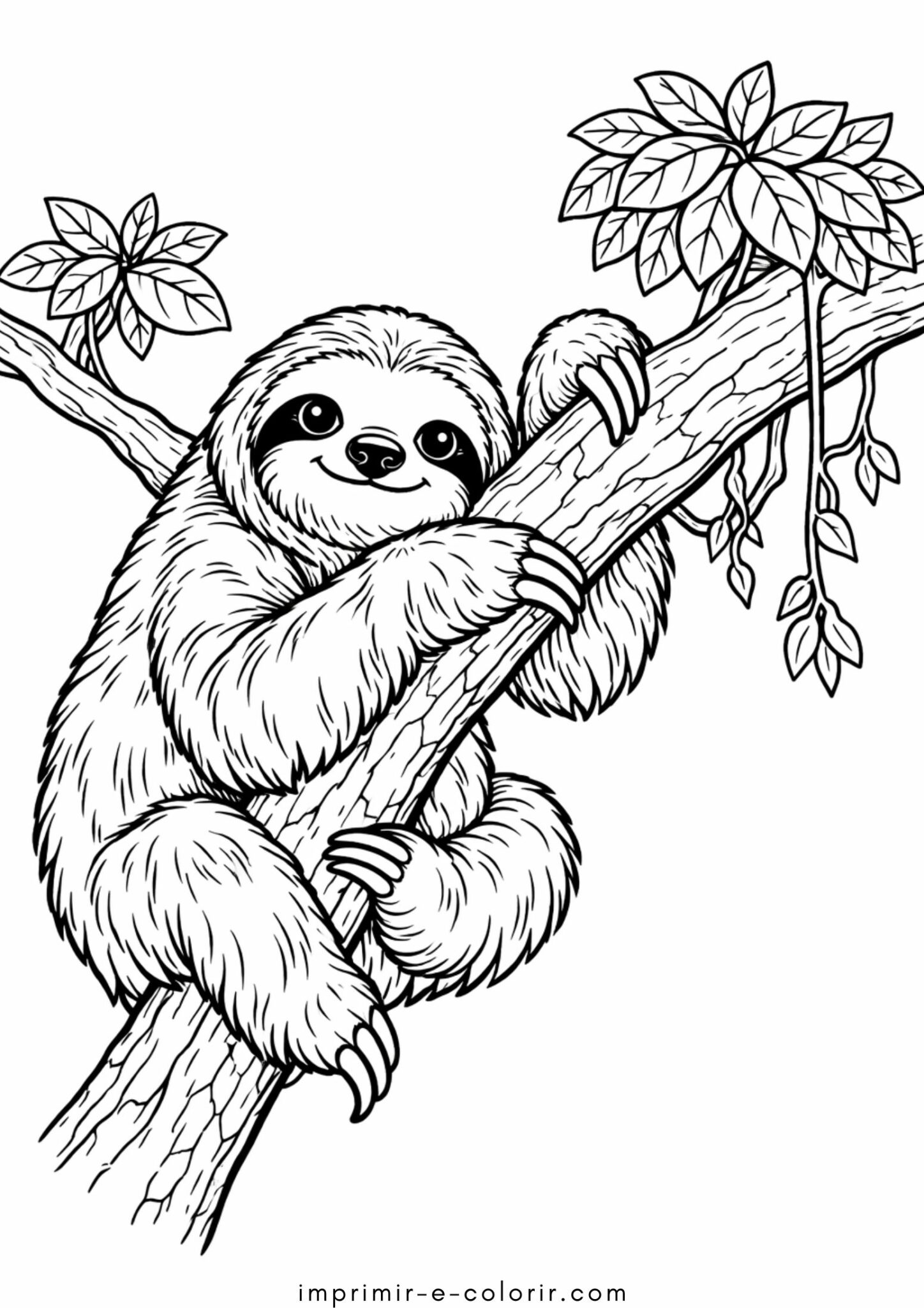 Desenho de Preguiça