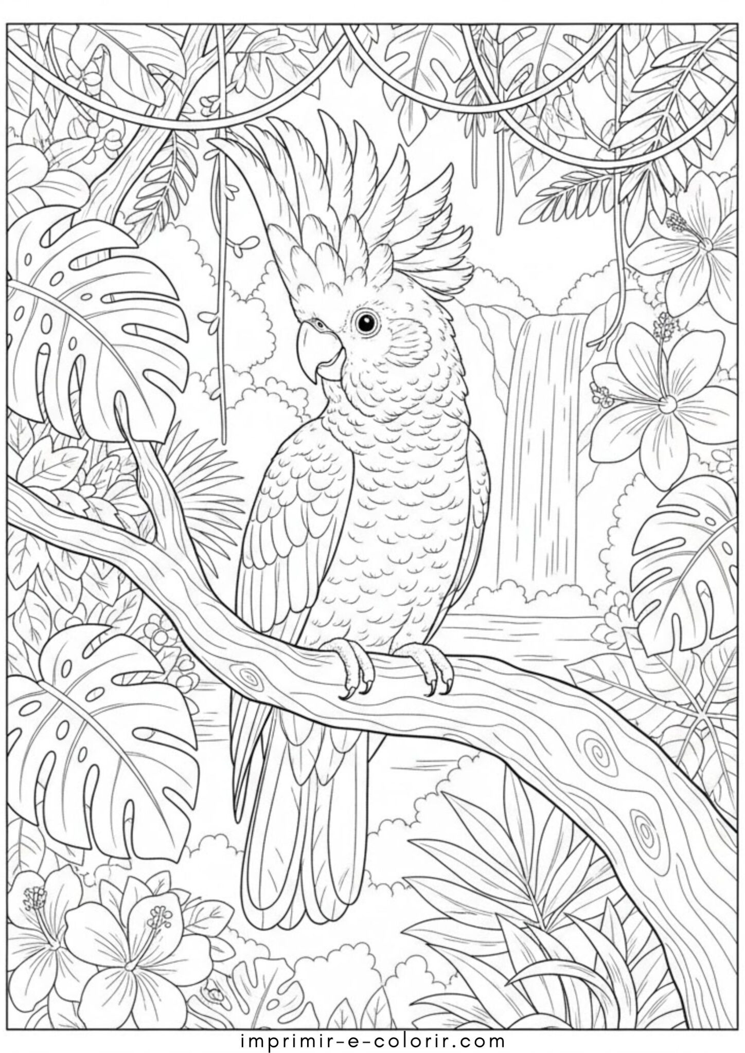 Desenho de Papagaio cacatua para colorir e imprimir