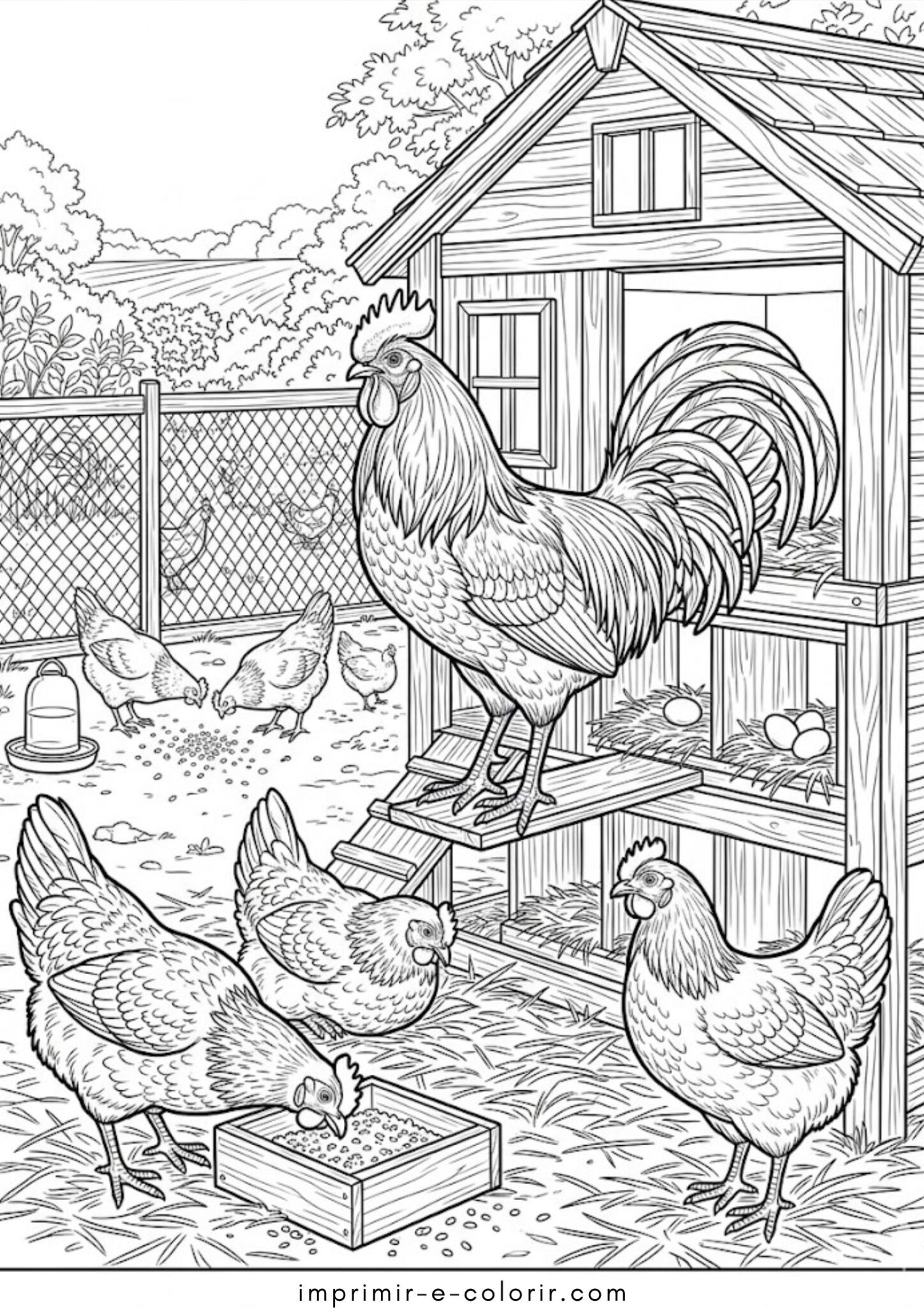 Desenho de Fazenda – Galo com galinhas para colorir e imprimir