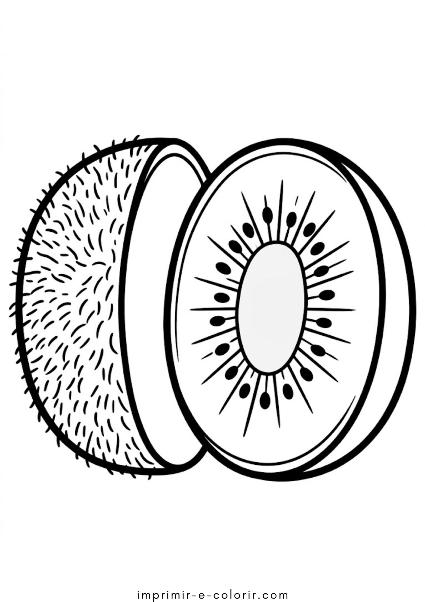 Desenho de Fruta – Kiwi 🥝 para colorir e imprimir