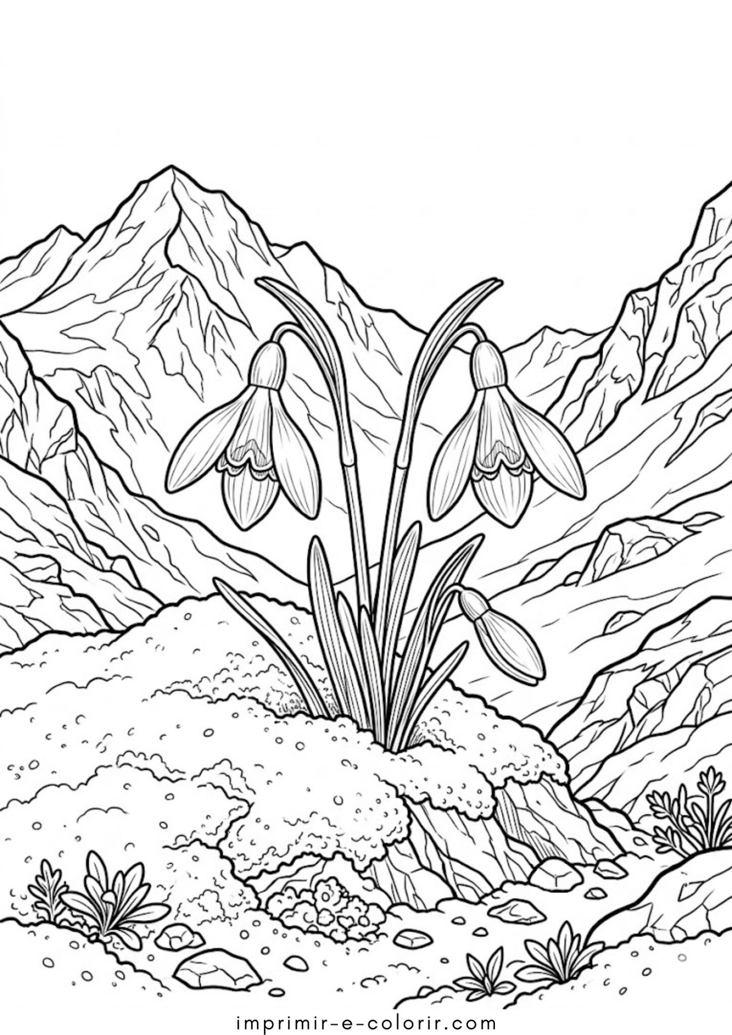 Desenho de Primavera – Campanillas de invierno para colorir e imprimir