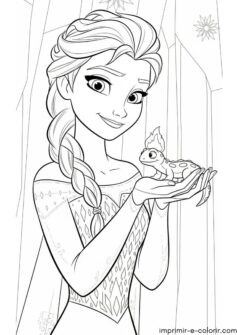 Elsa e a Salamandra Bruni de Frozen 2