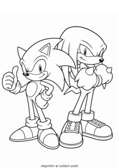 Sonic o Ouriço e Knuckles a Equidna