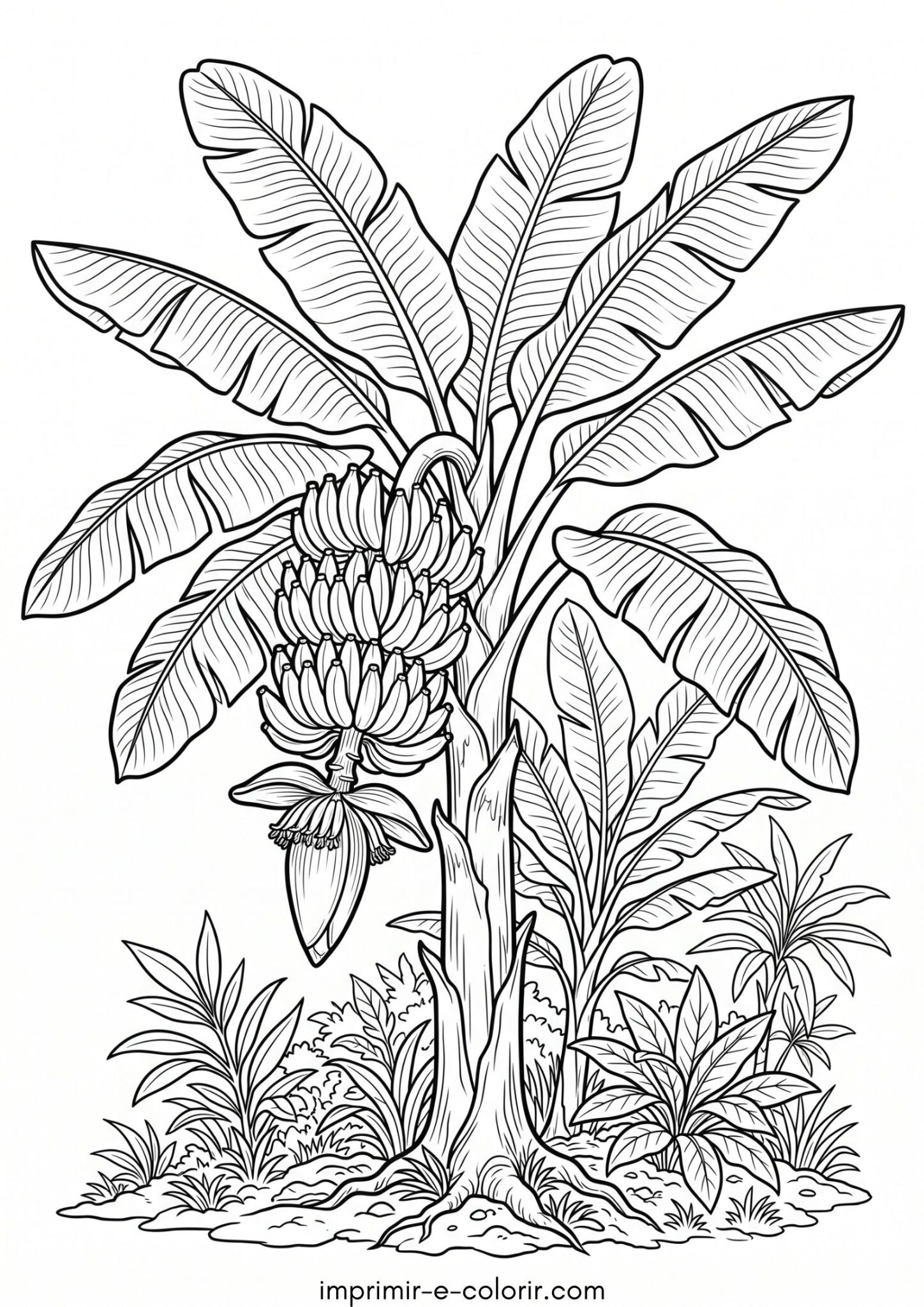 Desenho de Bananeira