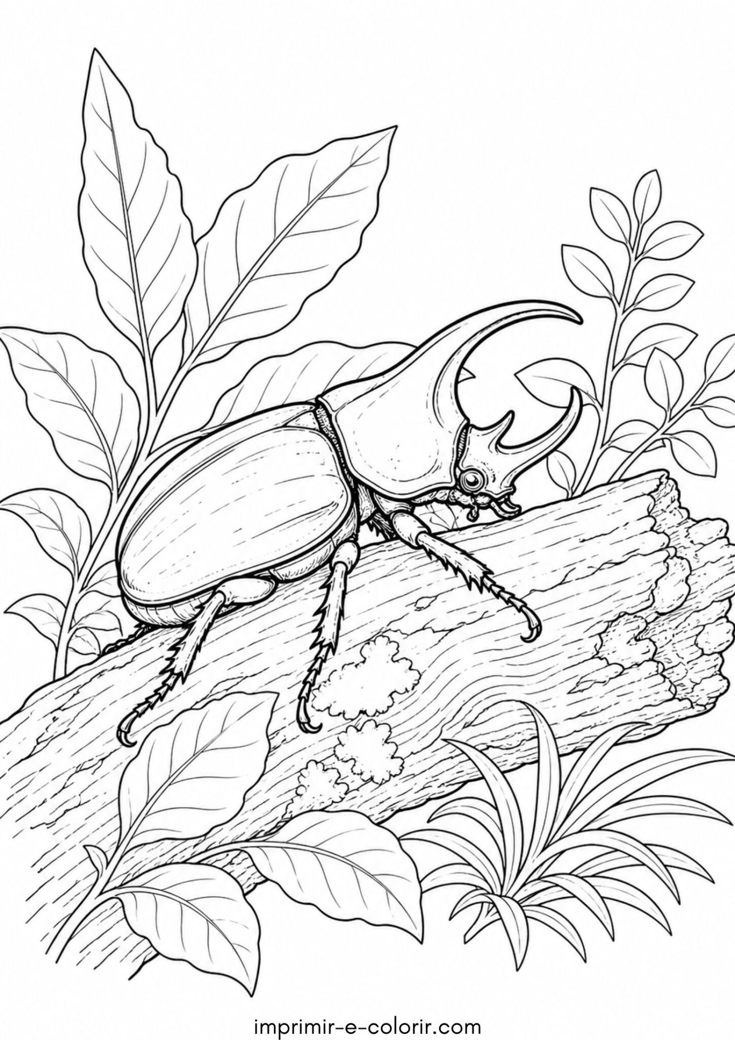 Desenho de Besouro com chifre