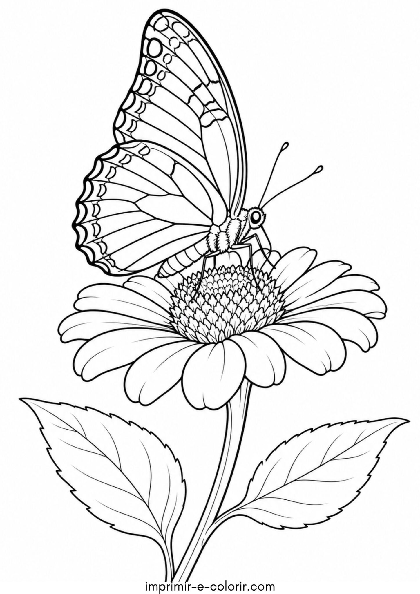 Desenho de Borboleta na flor