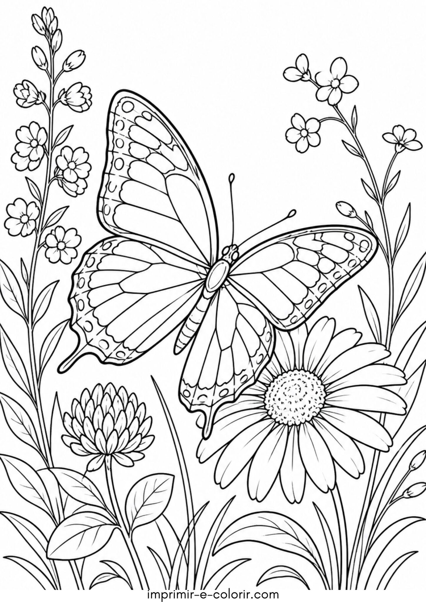 Desenho de Borboleta