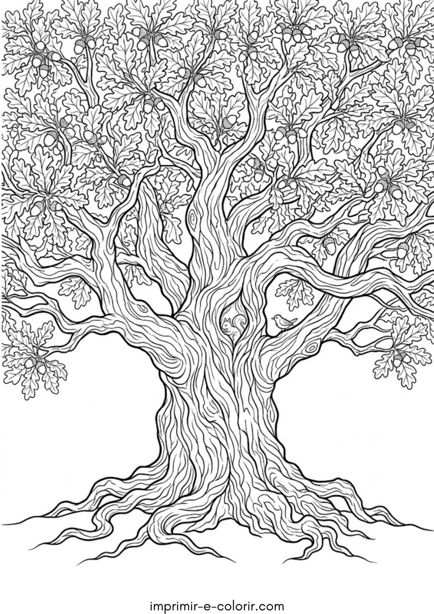 Desenho de Carvalho antigo Desenho de Carvalho antigo