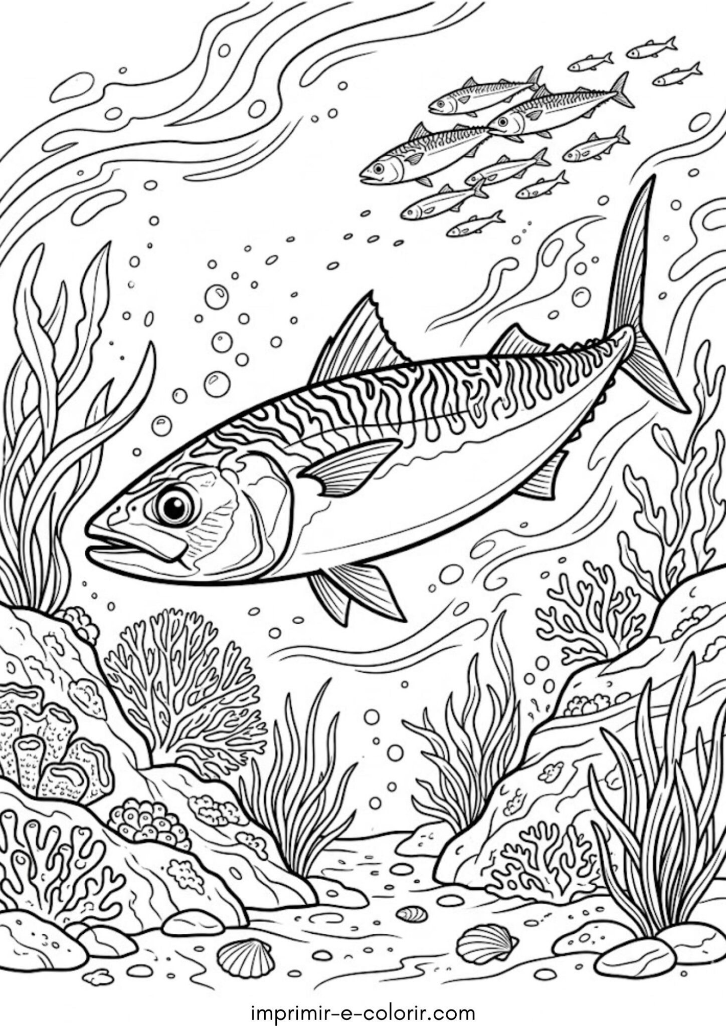 Desenho de Cavala Desenho de Cavala
