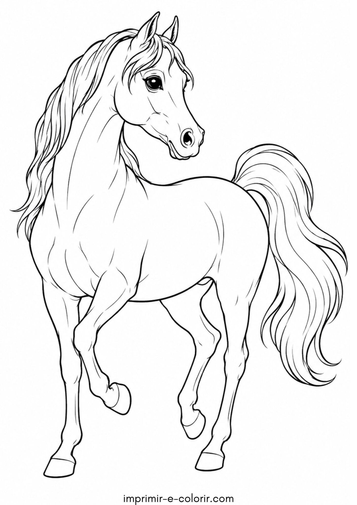 Desenho de Cavalo Árabe