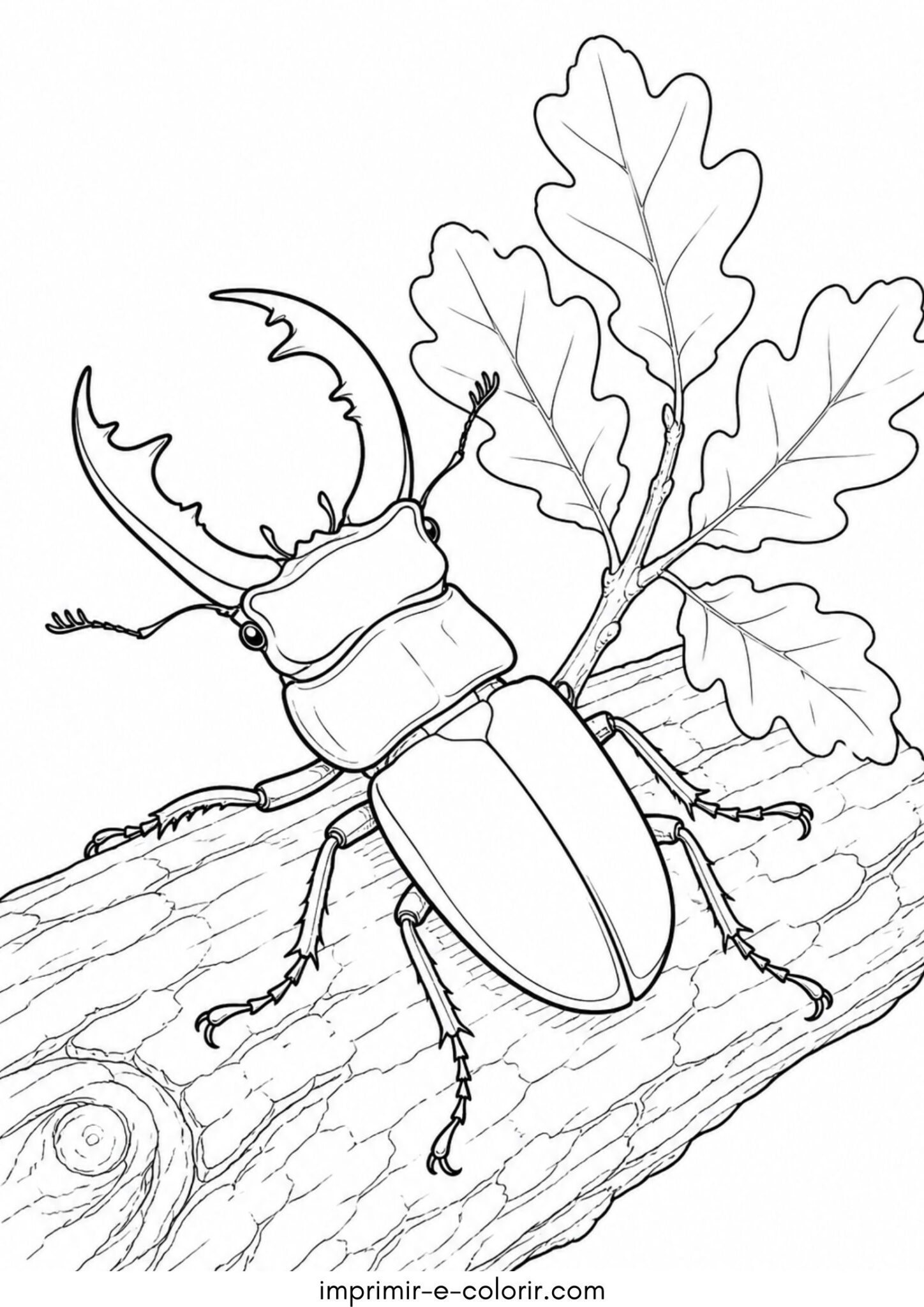 Desenho de Ciervo volante