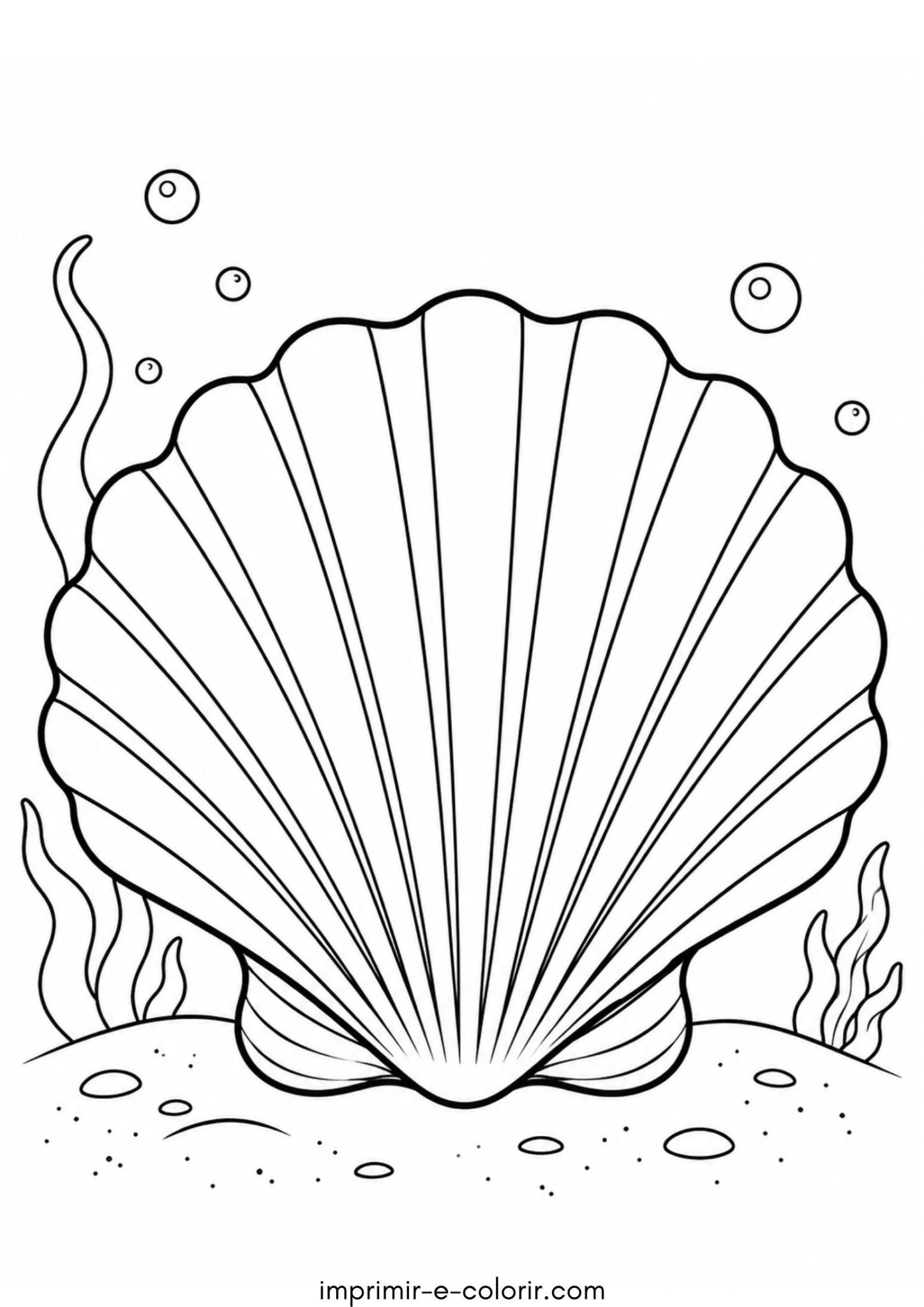 Desenho de Concha marinha para colorir e imprimir