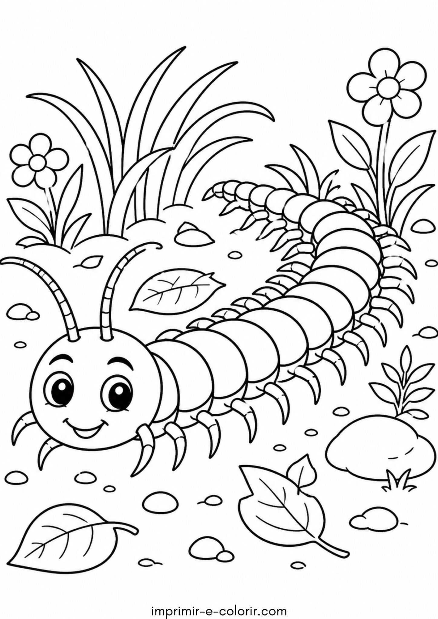 Desenho de Escolopendra gentil