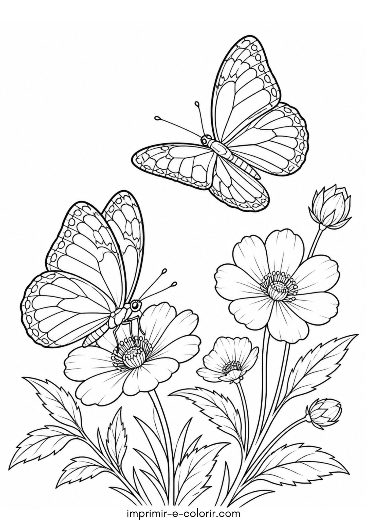 Desenho de Duas borboletas