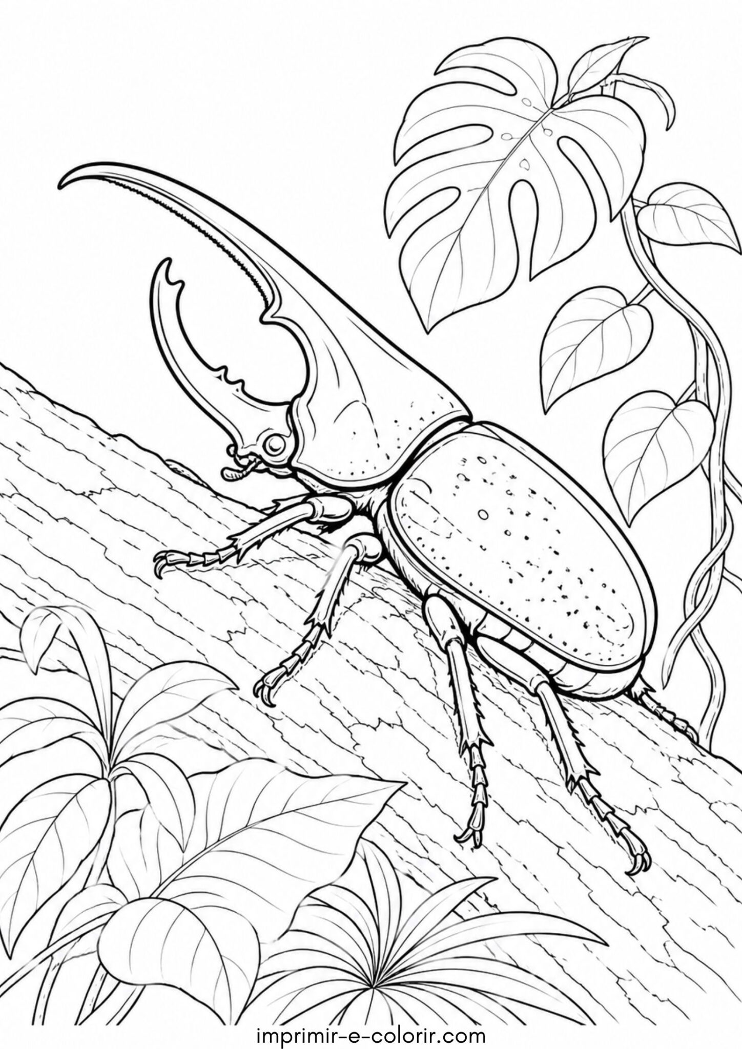 Desenho de Escarabajo Hércules para colorir e imprimir