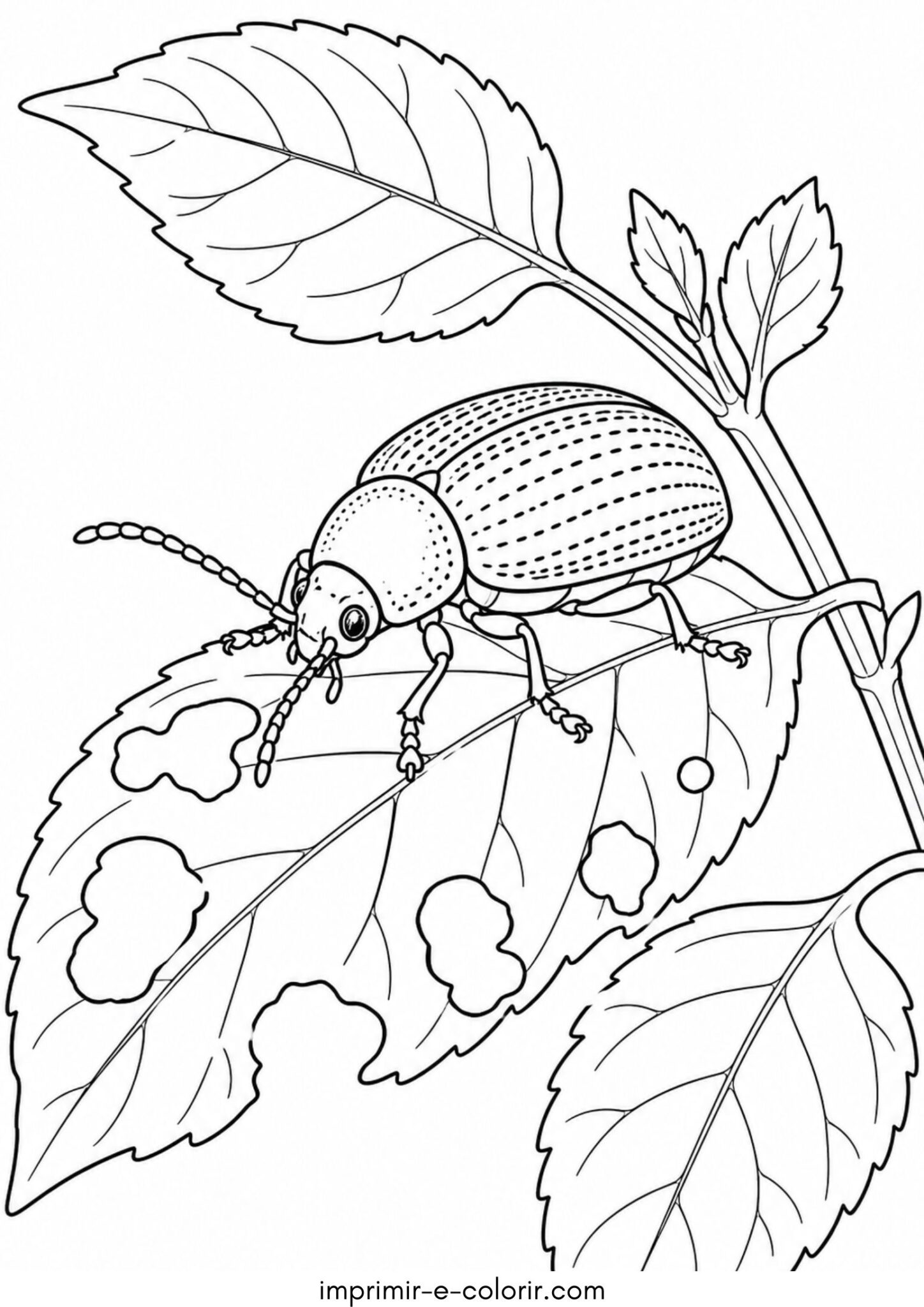 Desenho de Escarabajo de la hoja