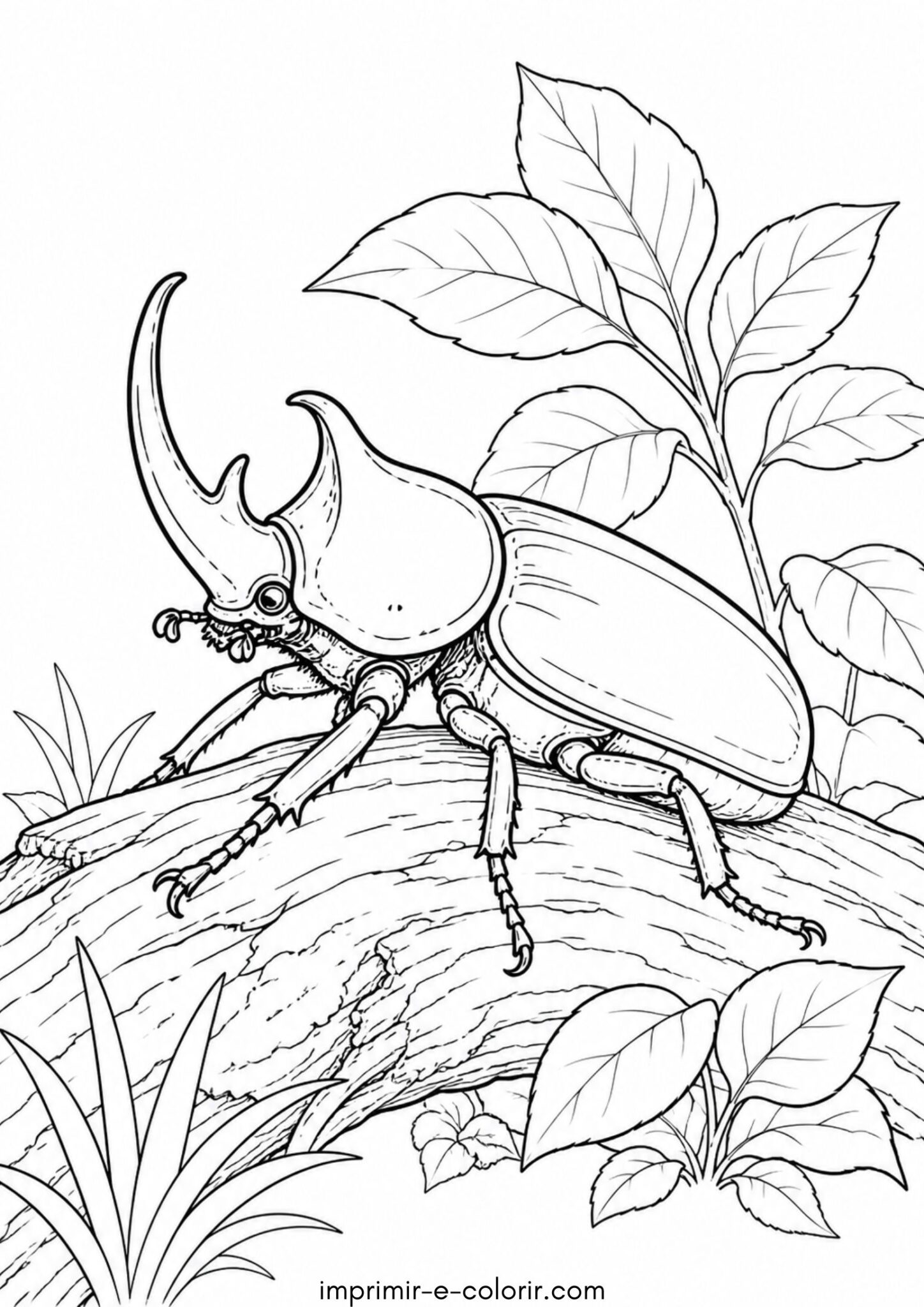 Desenho de Escarabajo rinoceronte para colorir e imprimir