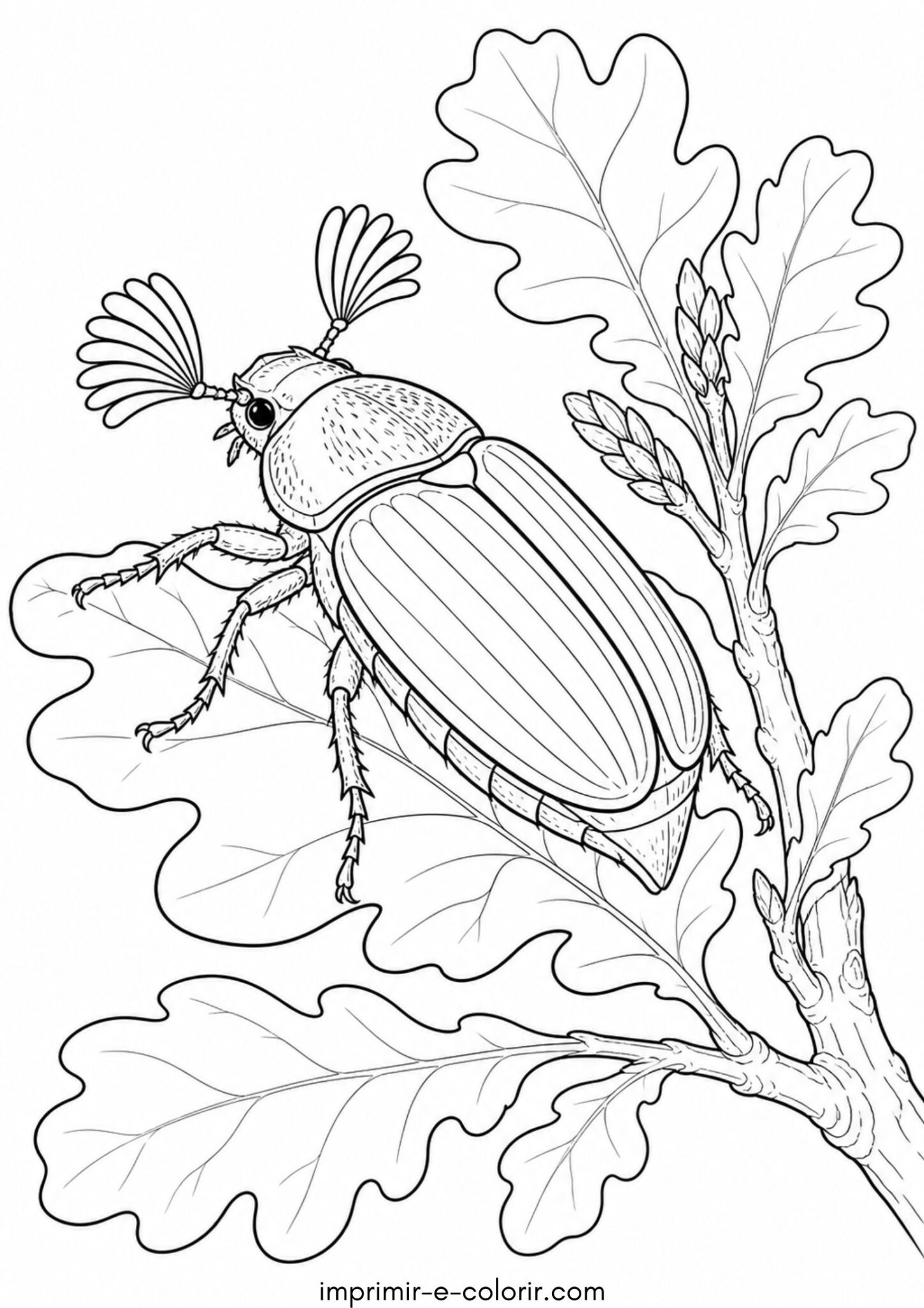 Desenho de Escarabajo sanjuanero