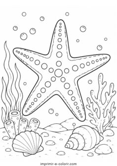 Estrela-do-mar