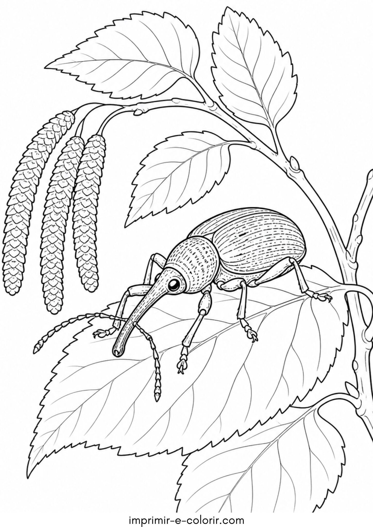 Desenho de Gorgulho