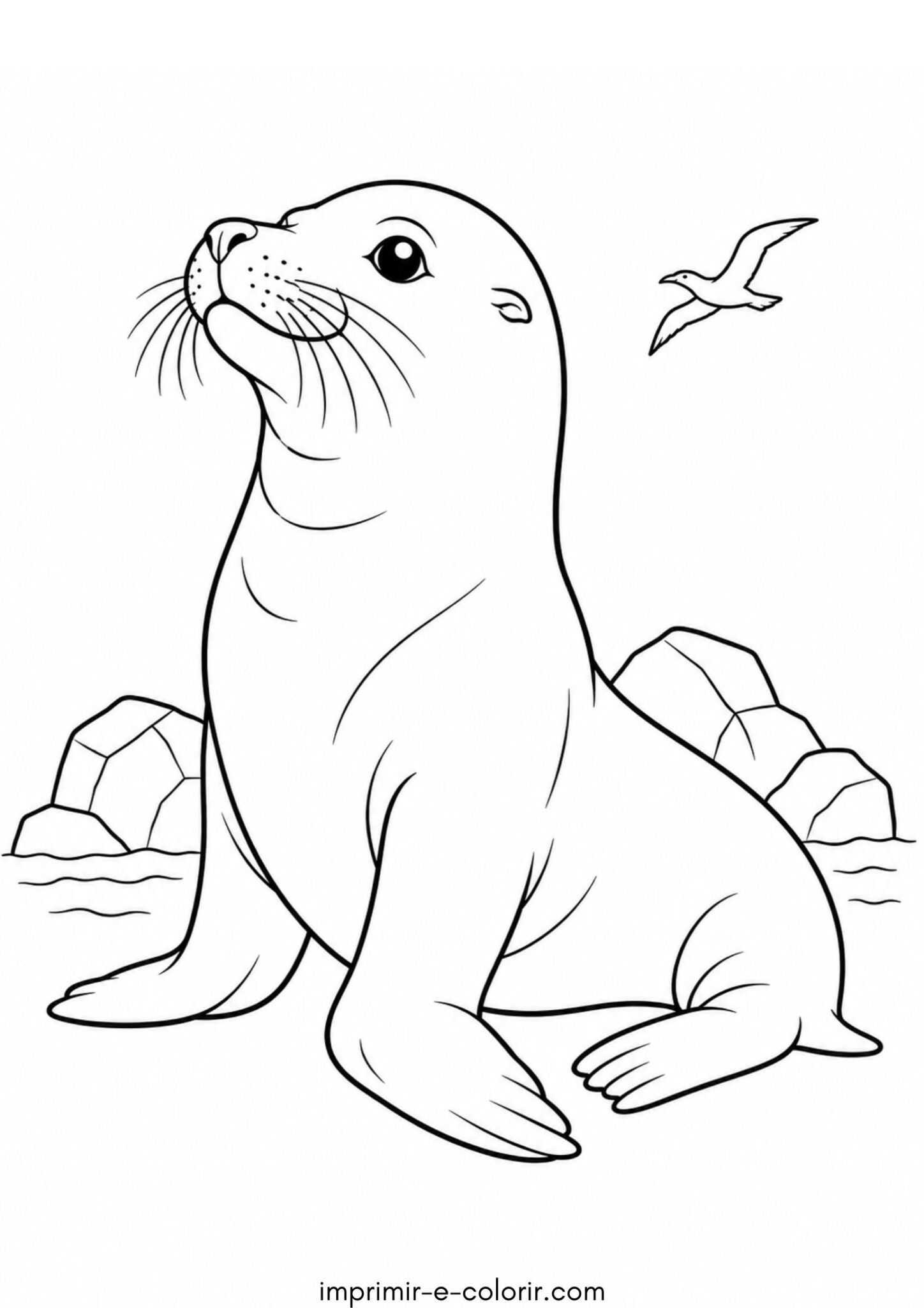 Desenho de Leão-marinho
