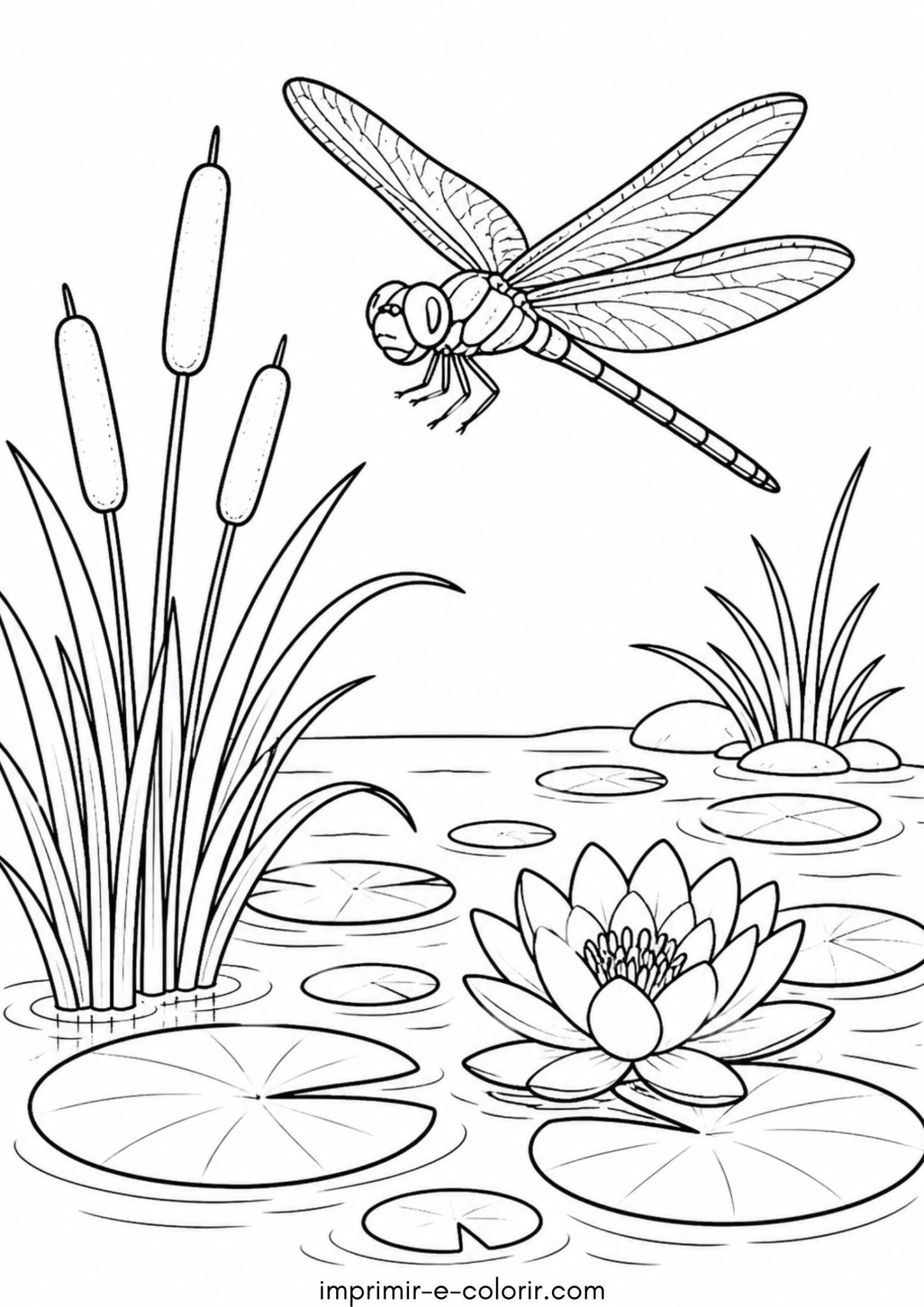 Desenho de Libélula sobre o lago para colorir e imprimir