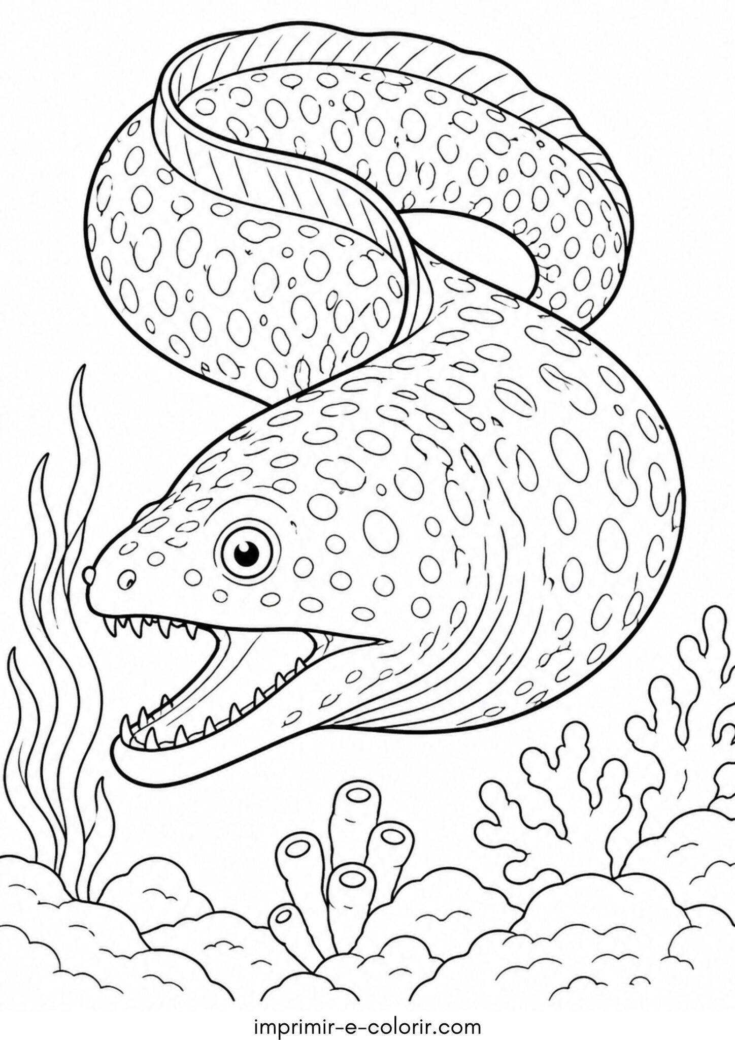 Desenho de Moreia