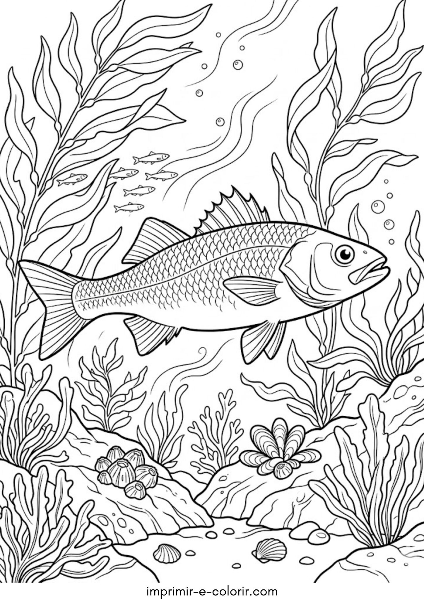 Desenho de Robalo