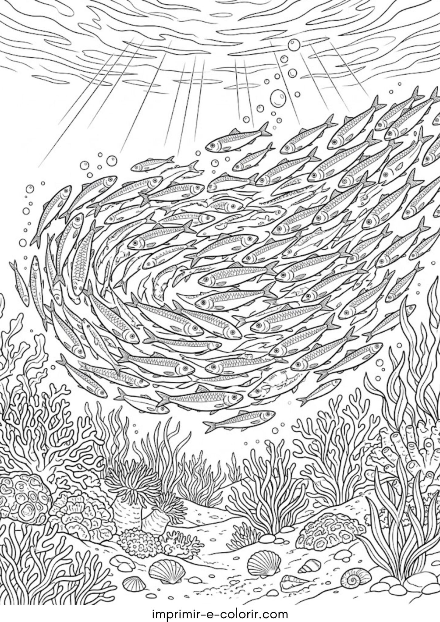 Desenho de Sardinha
