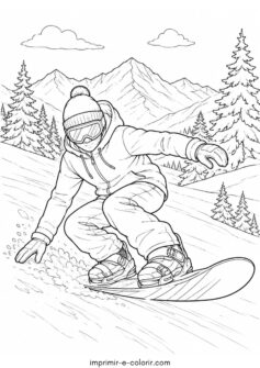 Snowboard e snowboarder