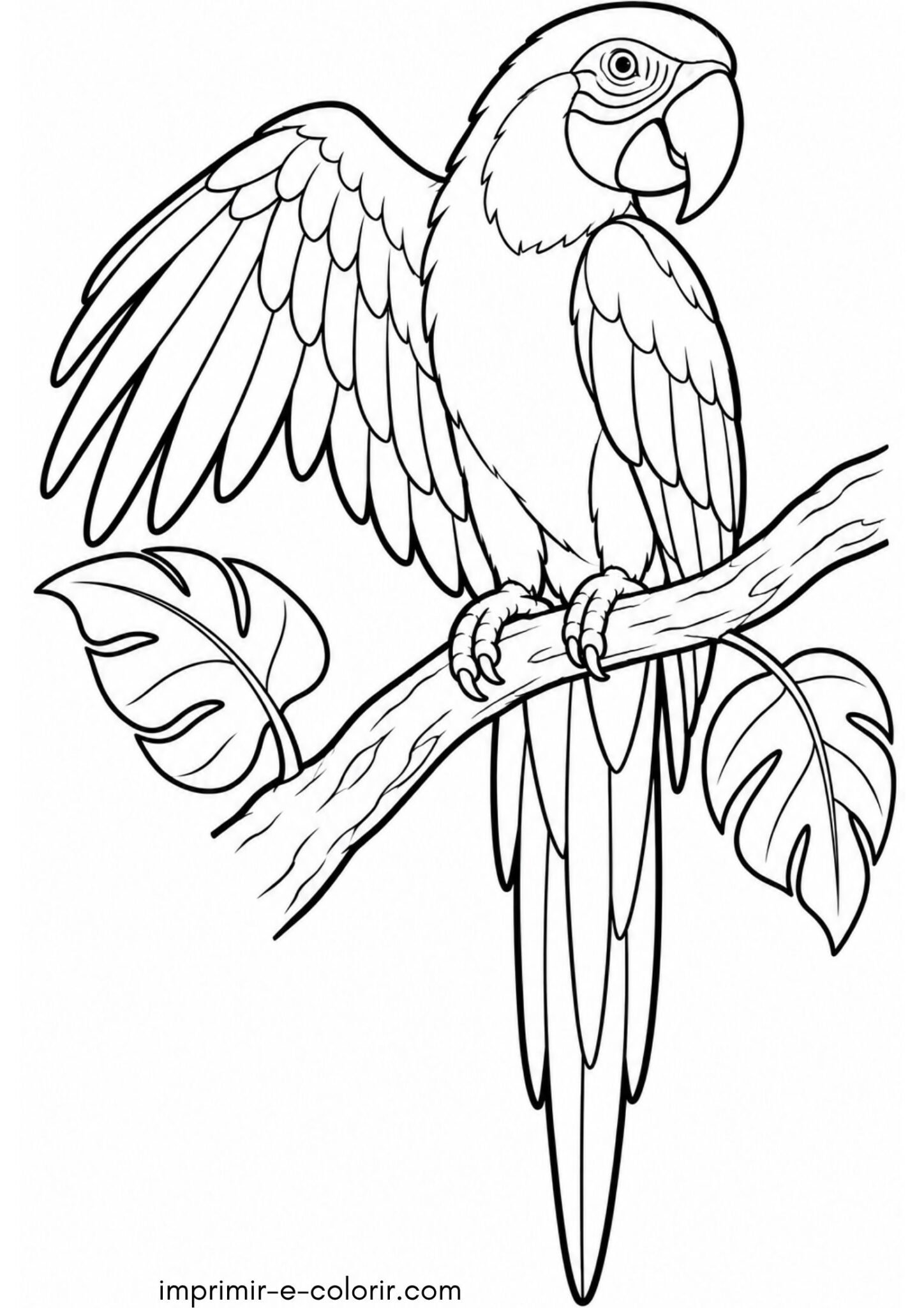 Desenhos de Arara para Colorir