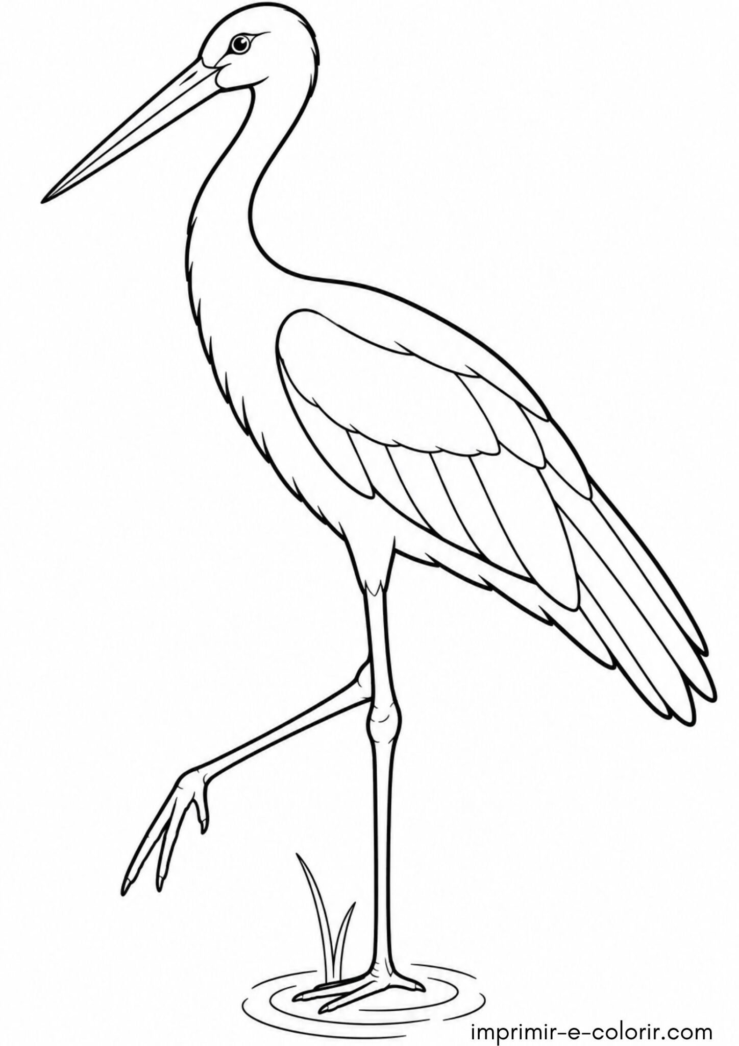 Desenhos de Pássaro – Cegonha-branca para Colorir