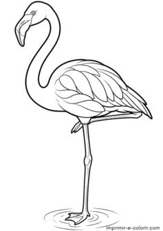 Pássaro – Flamingo elegante apoiado em uma perna só no lago