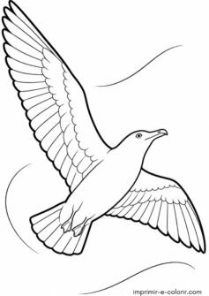 Pássaro – Gaivota