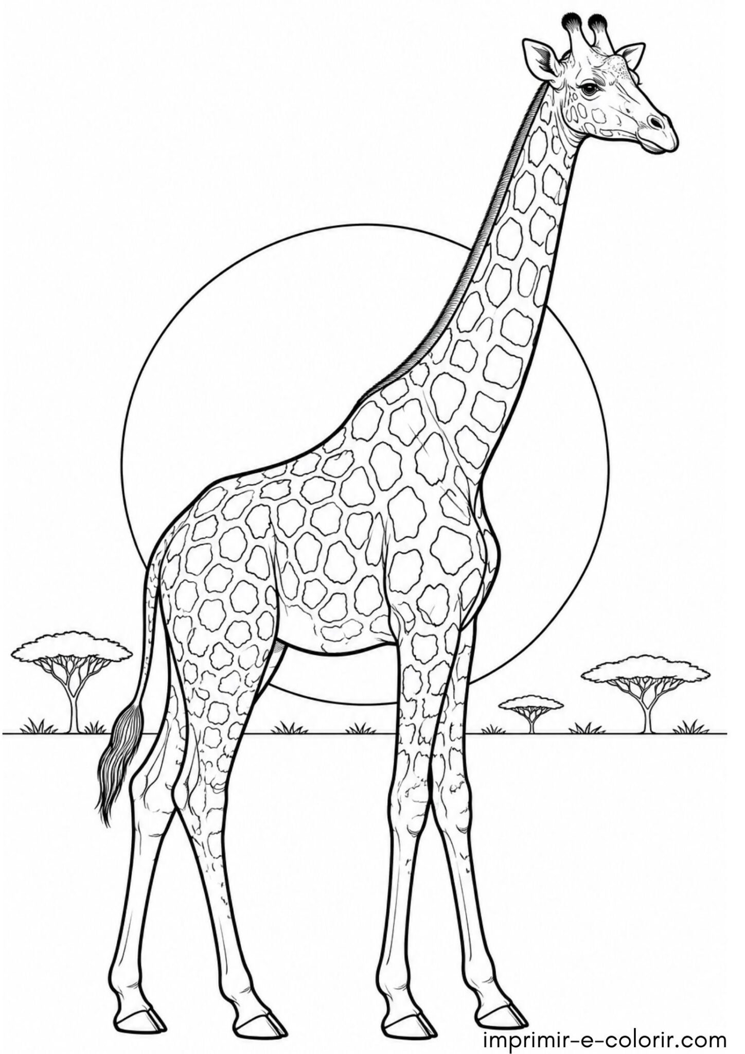 Desenho de Girafa realista na savana africana com pôr do sol para colorir e imprimir