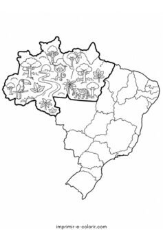 Dia da Amazônia – Mapa do Brasil destacando a Região Amazônica