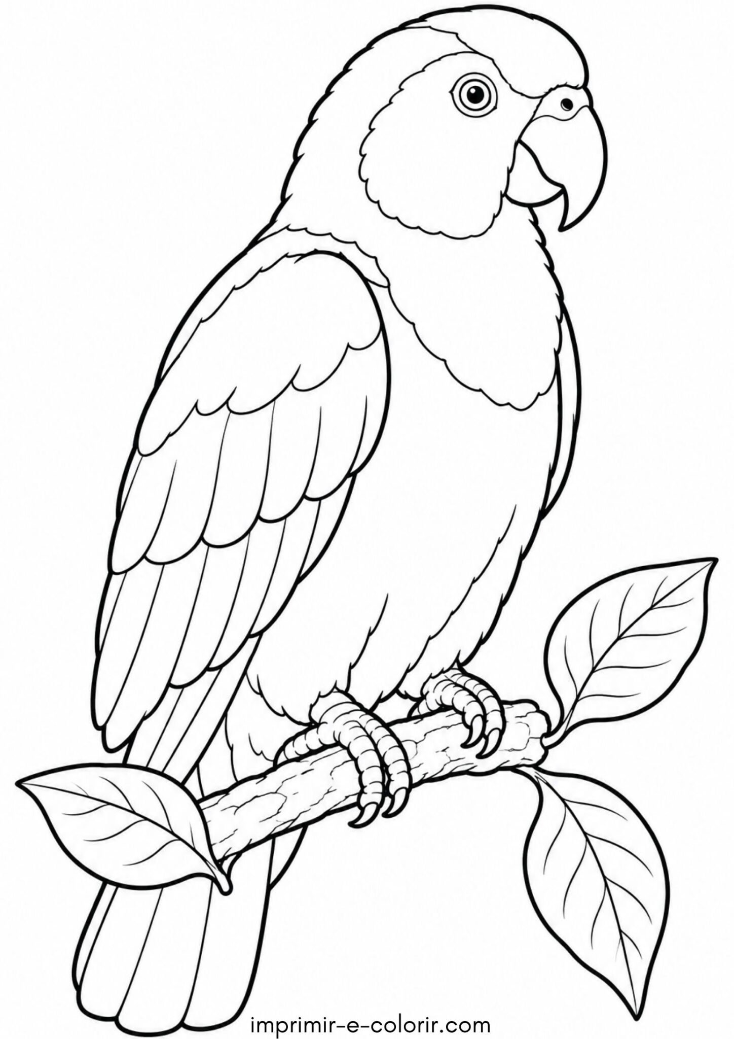 Desenhos de Pássaro – Papagaio-verdadeiro para Colorir