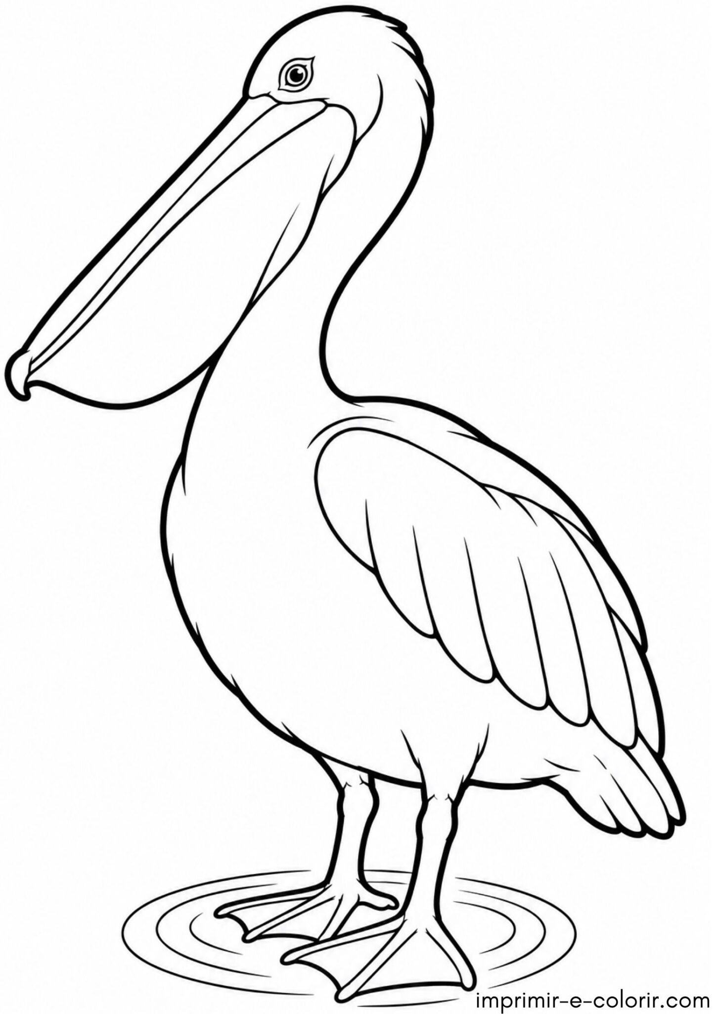 Desenhos de Pássaro – Pelicano para Colorir