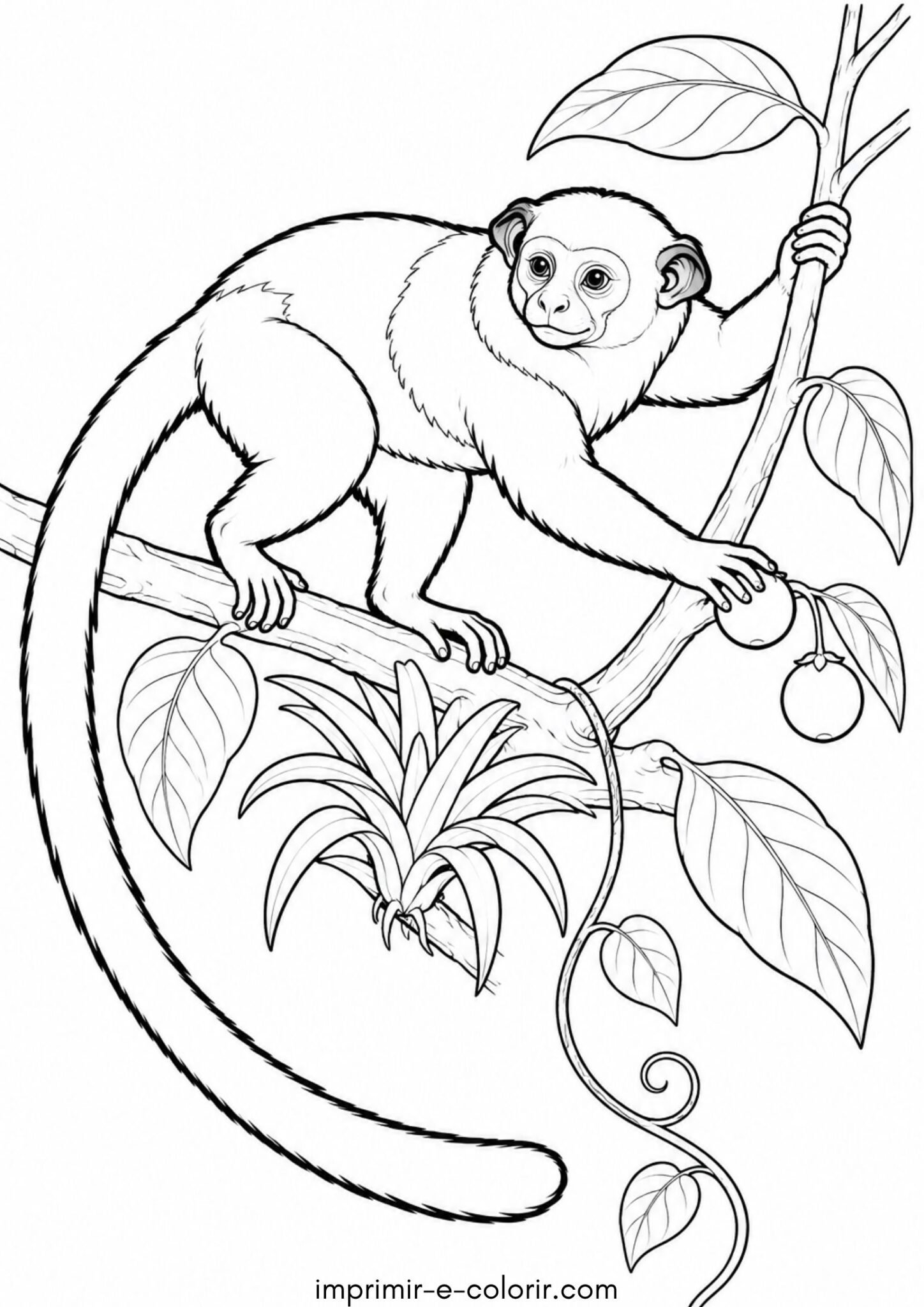 Desenho de Dia da Amazônia – Sauim-de-coleira nos galhos da floresta tropical para colorir e imprimir