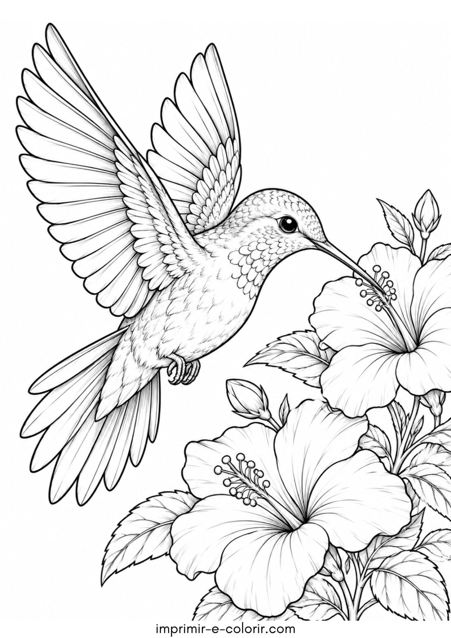 Desenho de Pássaro – Beija-flor