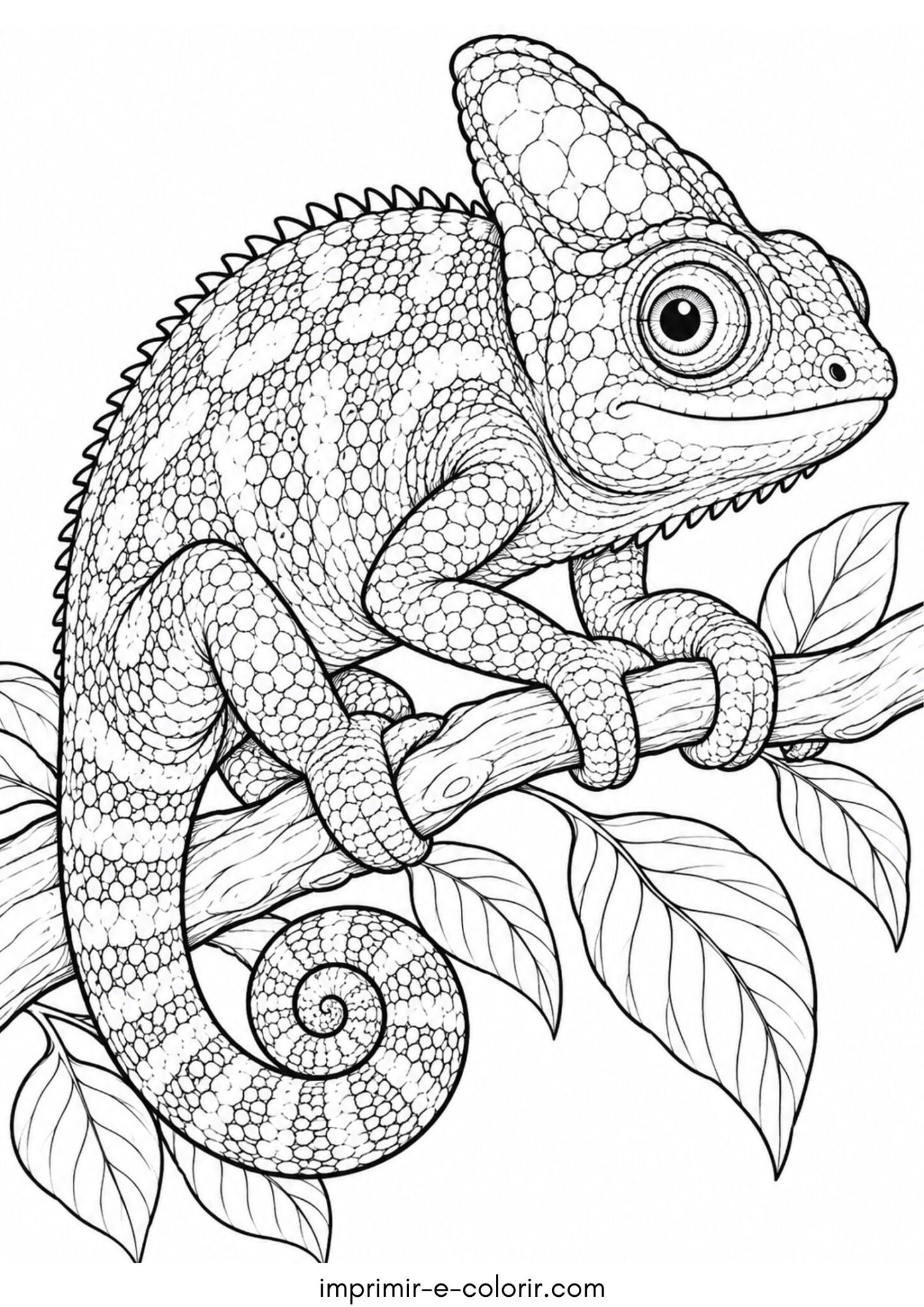 Desenho de Camaleão