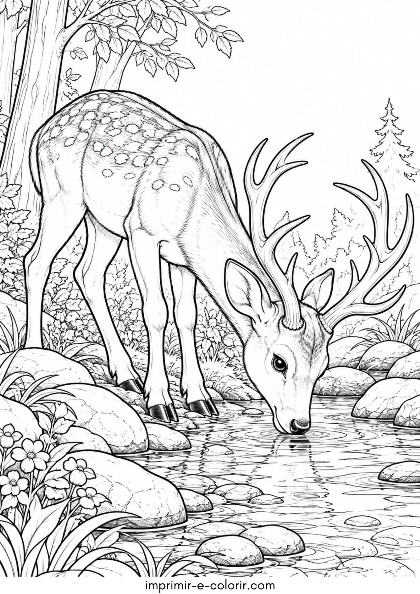 Desenho de Cervo bebendo água em um riacho límpido na floresta