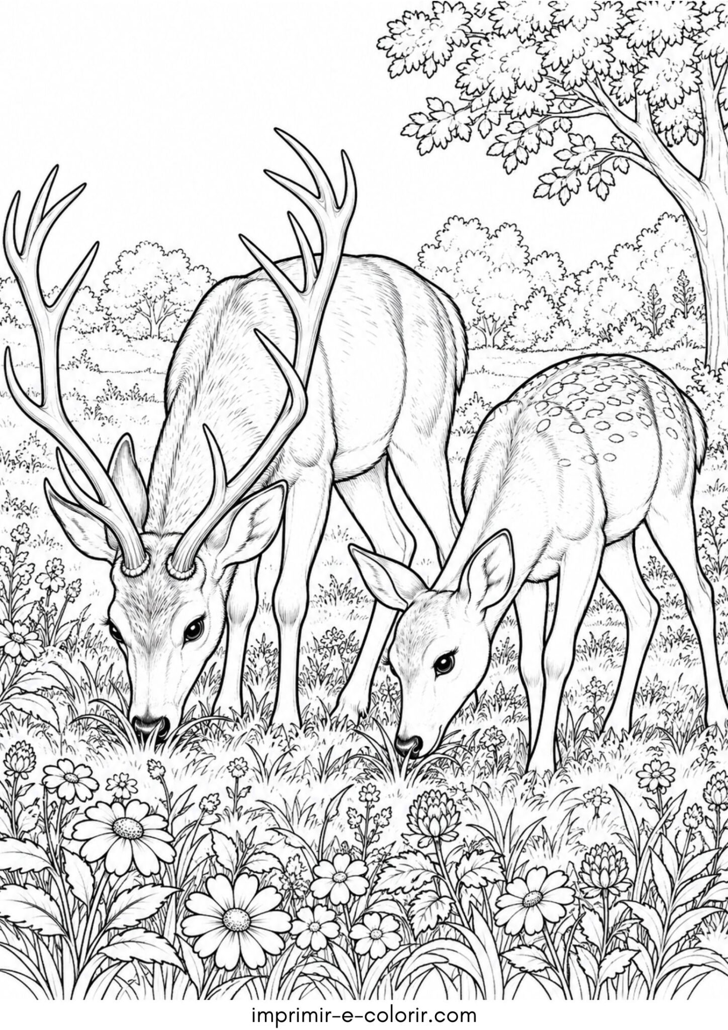 Desenho de Cervo macho e fêmea pastando juntos em uma clareira ensolarada