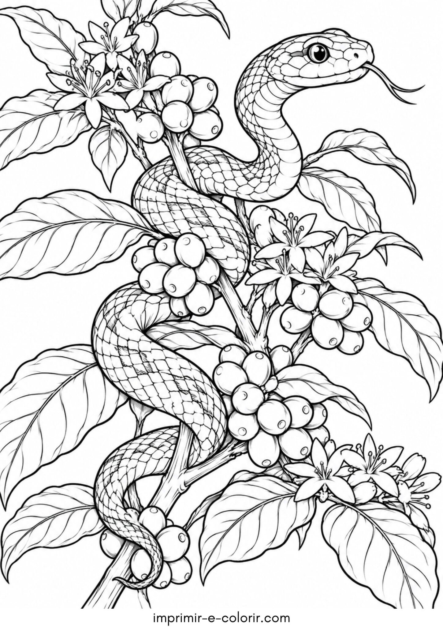 Desenho de Cobrinha subindo no pezinho de café