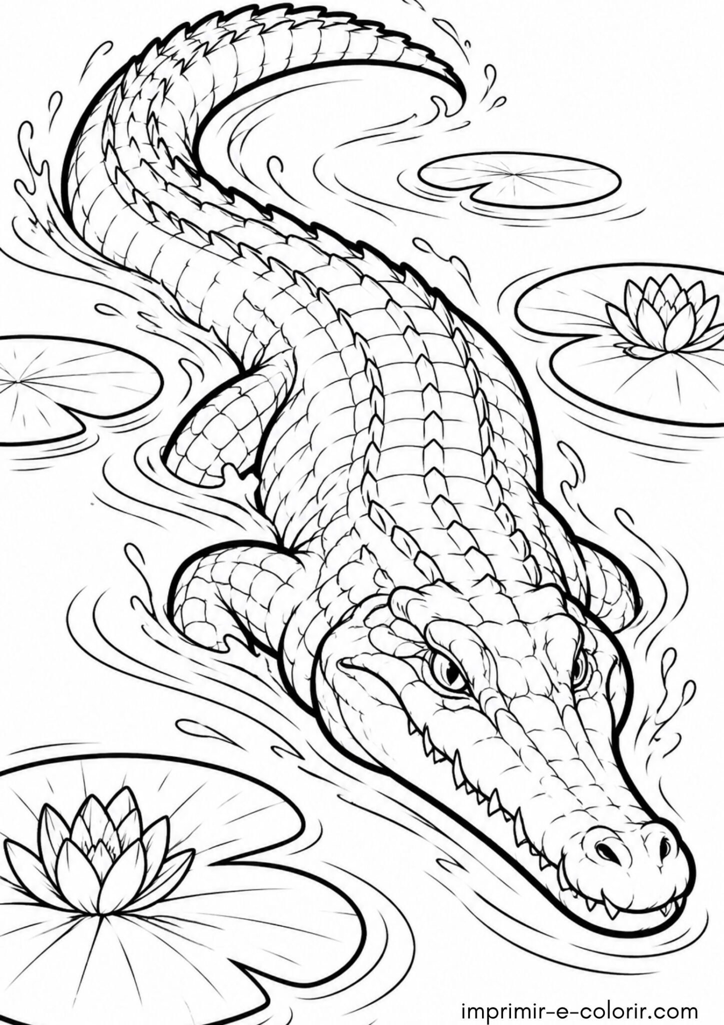 Desenho de Crocodilo nadando velozmente usando a cauda forte entre vitórias-régias
