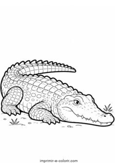 Crocodilo se aquecendo ao sol