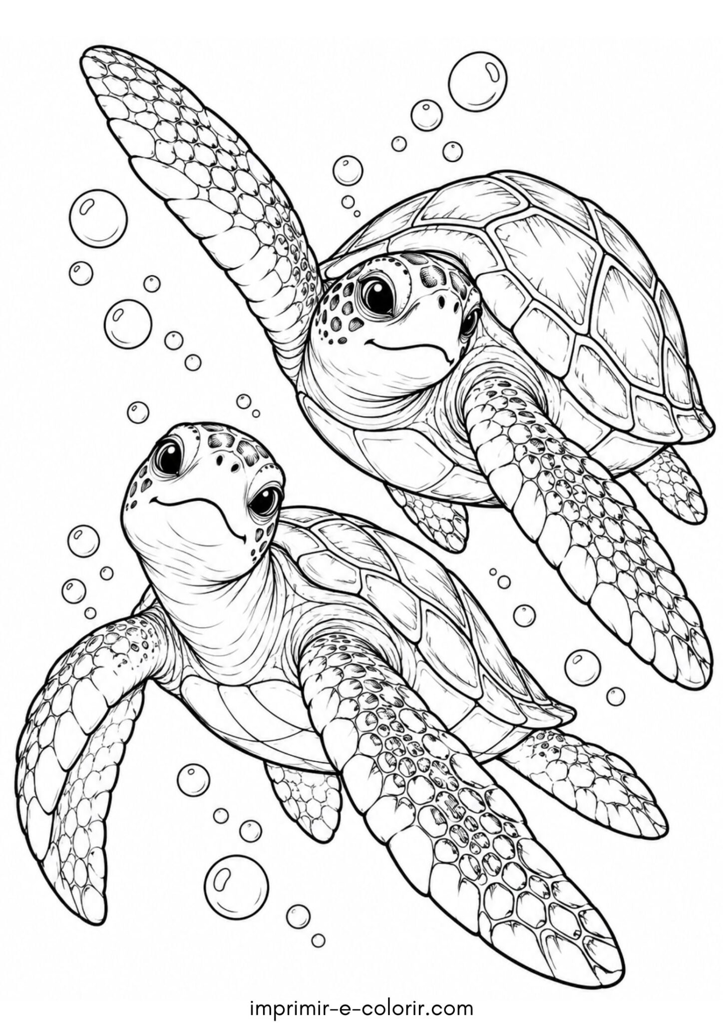 Desenho de Duas tartarugas marinhas para colorir e imprimir