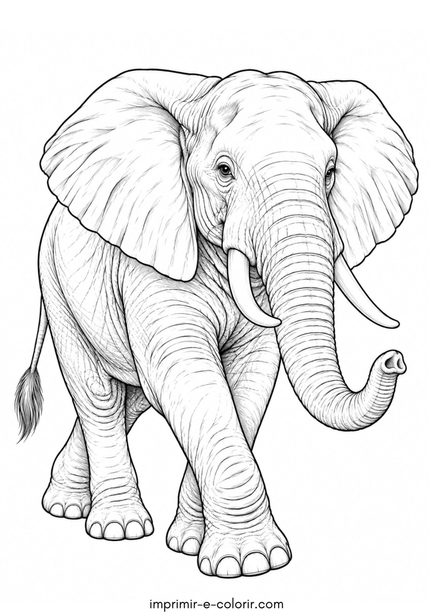 Desenho de Elefante realista